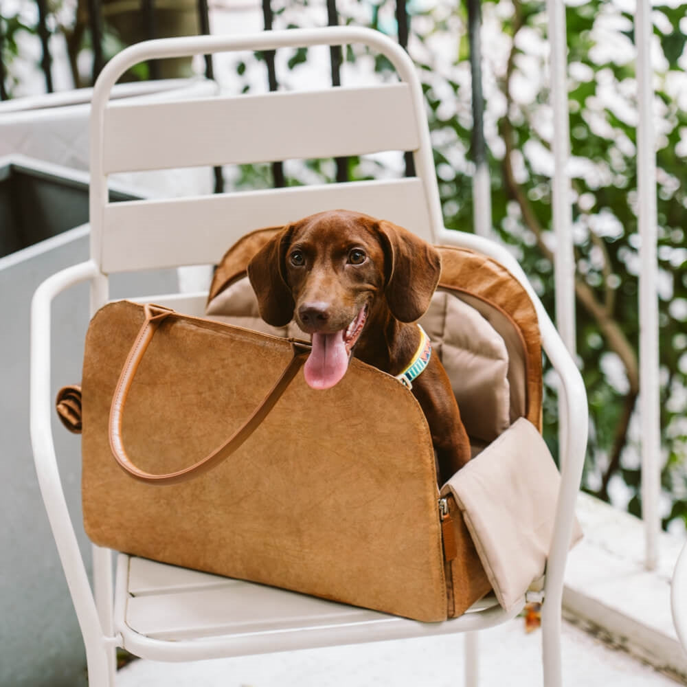 Eco-Friendly Pet Travel Bag – Multi-Functional & Stylish for Urban Adventures