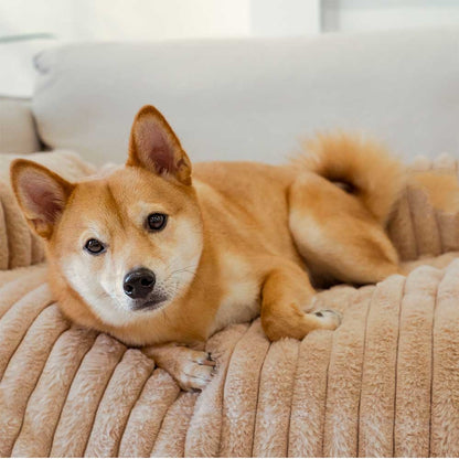Luxury Fluffy Dog Couch Bed – Plush Sofa Mat with Supportive Bolster, Washable Pet Bed Cover