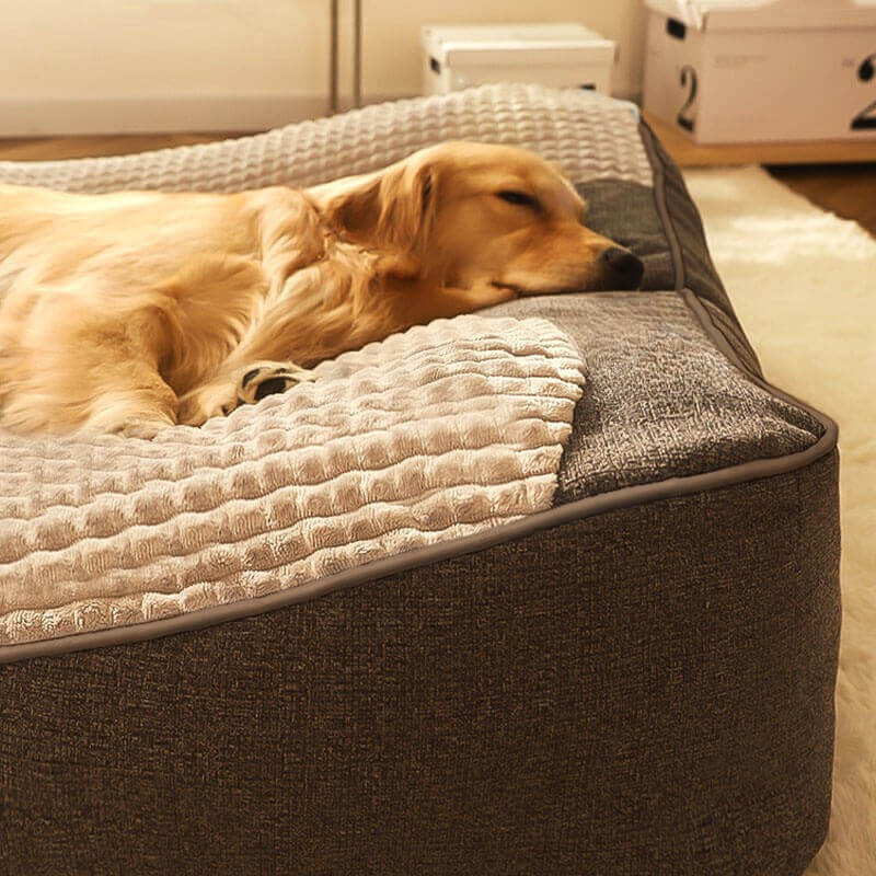 Large Thick Scratch-Resistant Dog Cushion Bed with Spine Support