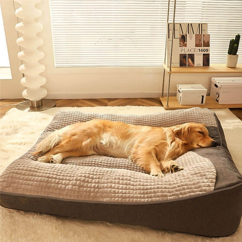 Large Thick Scratch-Resistant Dog Cushion Bed with Spine Support