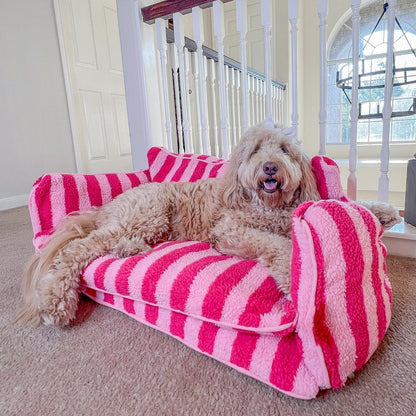 Double-Layer Sofa Bed for Dogs & Cats – Ultra Soft, Warm & Cozy