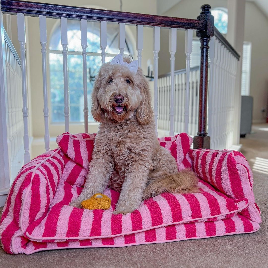 Double-Layer Sofa Bed for Dogs & Cats – Ultra Soft, Warm & Cozy